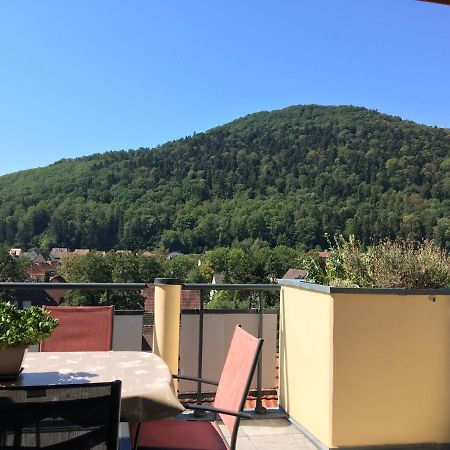 Le Panorama Daire Kaysersberg-Vignoble Dış mekan fotoğraf