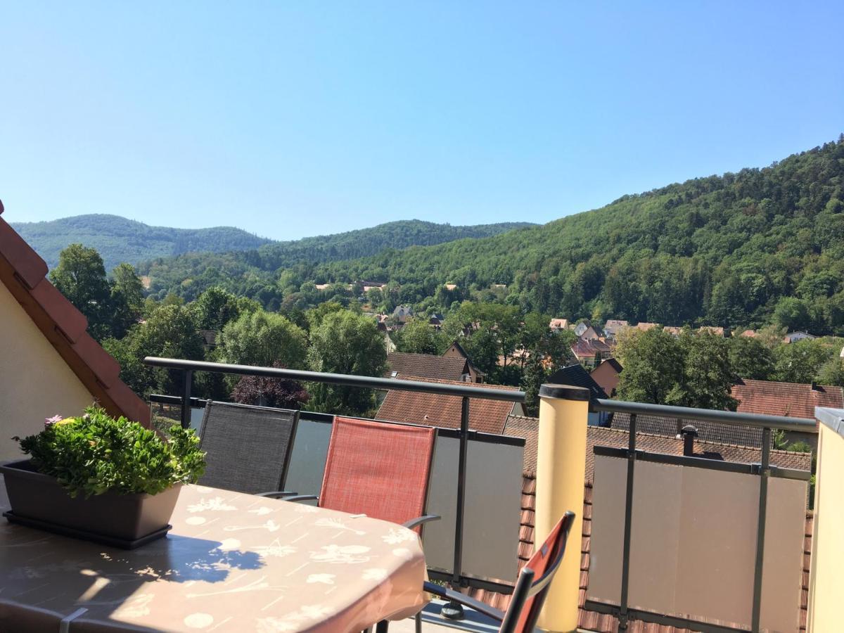 Le Panorama Daire Kaysersberg-Vignoble Dış mekan fotoğraf