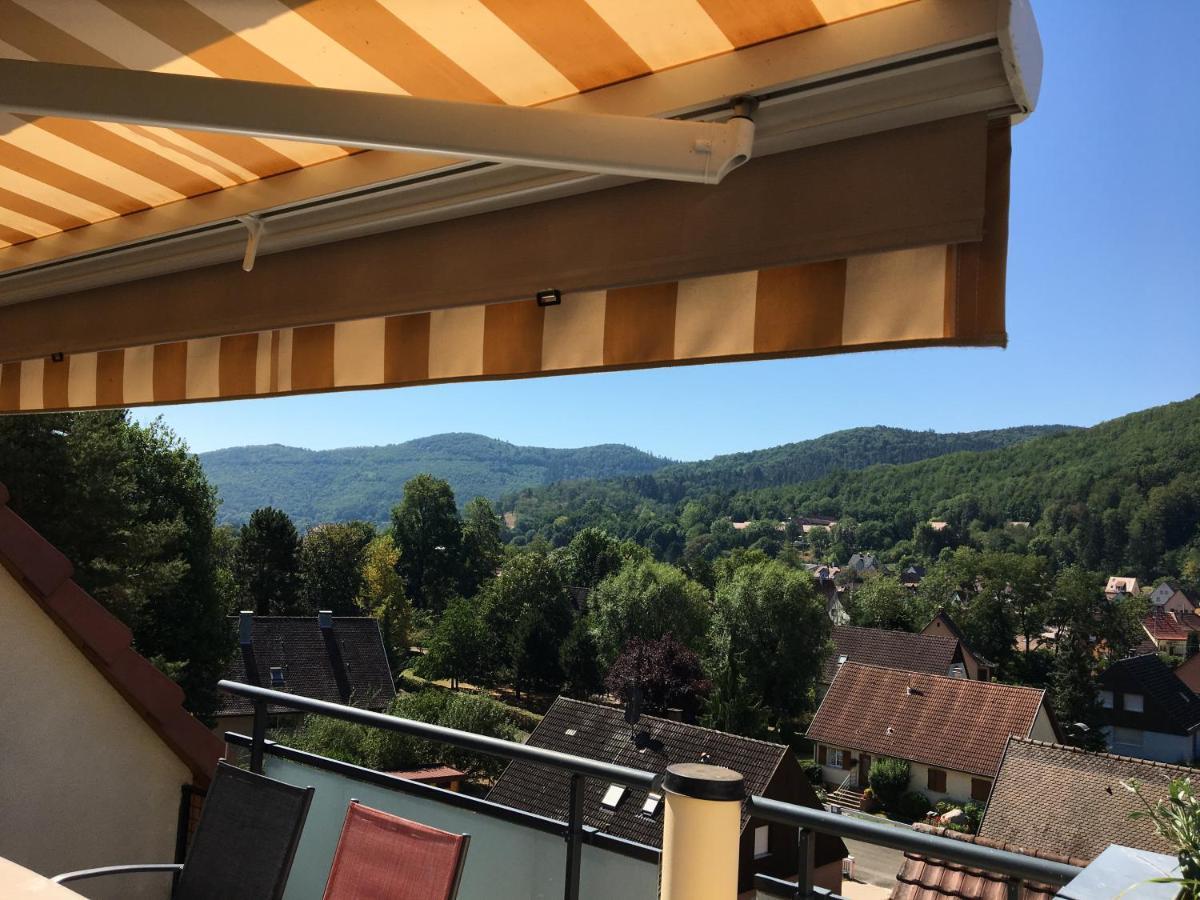 Le Panorama Daire Kaysersberg-Vignoble Dış mekan fotoğraf