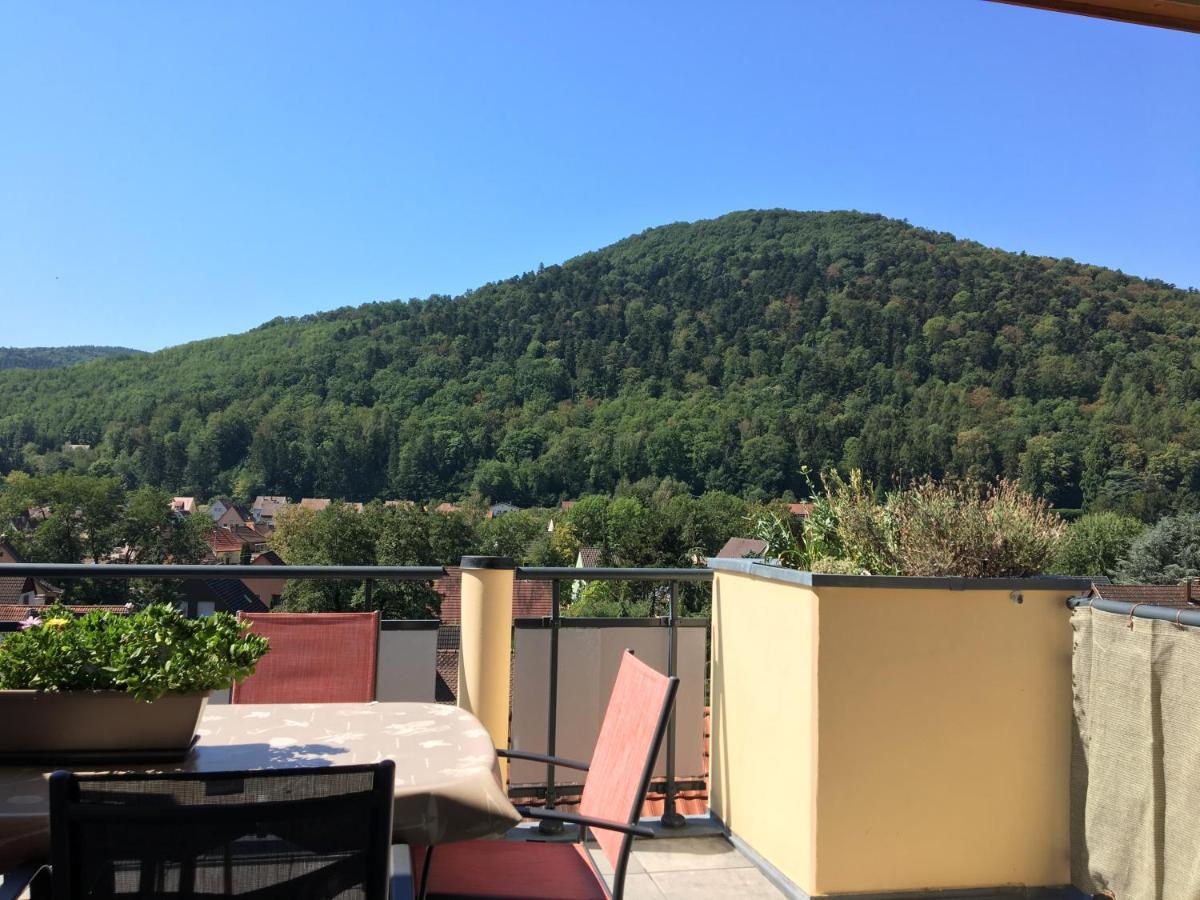 Le Panorama Daire Kaysersberg-Vignoble Dış mekan fotoğraf