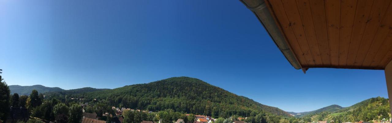 Le Panorama Daire Kaysersberg-Vignoble Dış mekan fotoğraf